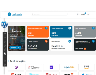 theme and plugin development